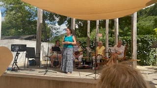 Ines Küffner bei einer Lesung in Saal an der Donau